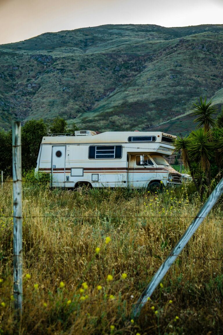 Trailer Parked in the Meadow 